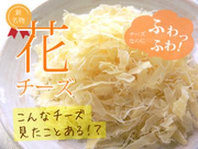 茶房伊豆自然生活のアルバイト写真