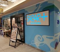 さば料理専門店 SABAR 岡山駅前店のアルバイト