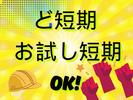 株式会社ジャパンサポート MB-040-2-251030のアルバイト写真