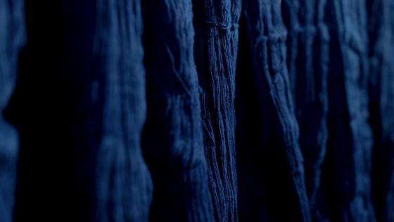 デニム研究所 倉敷店のアルバイト写真