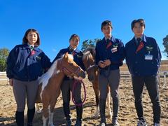 両備乗馬クラブ・クレイン岡山のアルバイト