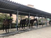 乗馬クラブ　クレイン千葉富津のアルバイト写真1