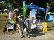 TRC乗馬クラブ高崎のアルバイト写真3