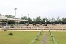 ニッケ乗馬クラブクレイン加古川のアルバイト写真