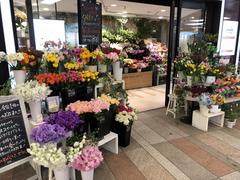 Flower Shop KEIO 吉祥寺店のアルバイト