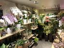 Flower Shop KEIO 新宿地下店のアルバイト写真