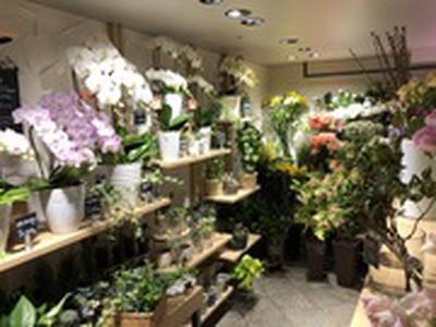 Flower Shop KEIO 新宿地下店のアルバイト写真