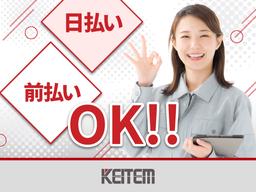 株式会社日本ケイテム/11253