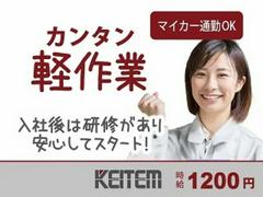 日本ケイテム/6247aのアルバイト