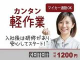 日本ケイテム/6247aのアルバイト写真