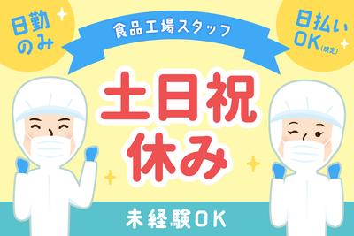 株式会社ケイトー派遣部のアルバイト写真