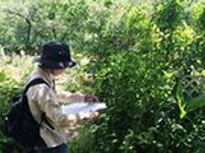 株式会社建設環境テクノサービス(中部支社)/建設環境研究所グループのアルバイト写真