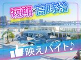 キラナガーデン豊洲(KIRANAH GARDEN TOYOSU)/BBQ施設スタッフ(ホール・接客)＿新木場駅(期間限定)のアルバイト写真