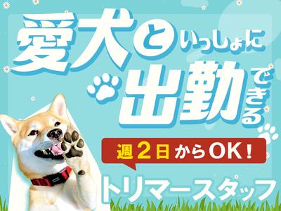 あいゆう倶楽部_トリマーSTAFF(1)のアルバイト写真