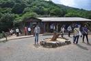 嵐山モンキーパークいわたやまのアルバイト写真