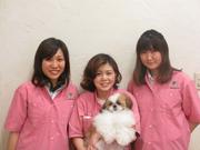 ペットのコジマ 和光店のアルバイト写真(メイン)