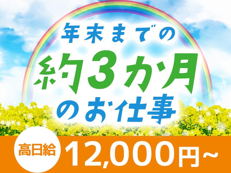 株式会社カティンデーン 九品仏エリア(3)の求人画像