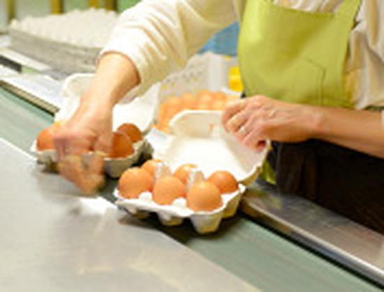 黒富士農場GPセンターのアルバイト写真