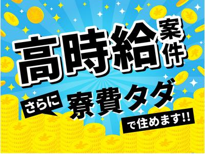 株式会社京栄センター【KCO-TA4510-1】のアルバイト