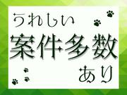 LAPI-Staff株式会社 (004) 54のアルバイト写真3