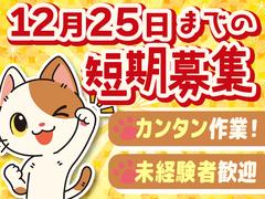 株式会社LIAスタッフィング_倉庫スタッフ_川崎_日勤12/25短期(1)のアルバイト