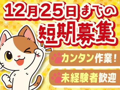 株式会社LIAスタッフィング_倉庫スタッフ_川崎_日勤12/25短期(1)のアルバイト