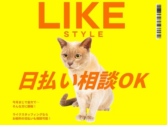 ライクスタッフィング株式会社/lwac7のアルバイト写真