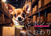 ライクスタッフィング株式会社_九州支社(24)/lwc4のアルバイト写真(メイン)
