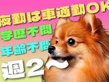 ライクスタッフィング株式会社_九州支社[21]/lwc4のアルバイト写真