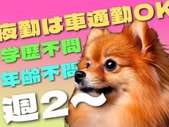 ライクスタッフィング株式会社_九州支社[21]/lwc4のアルバイト