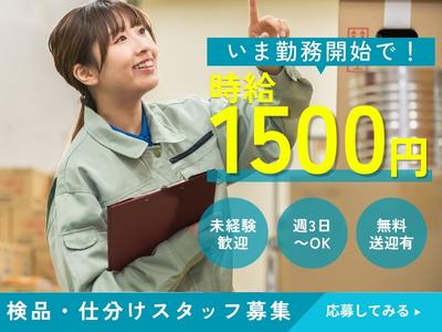 ライクスタッフィング株式会社/lwfi3のアルバイト