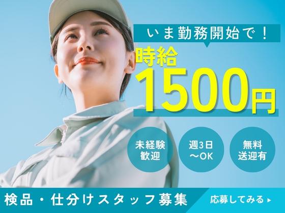 ライクスタッフィング株式会社/lwfi3のアルバイト写真