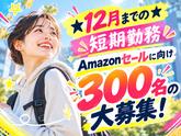 ライクスタッフィング株式会社/lwhn10のアルバイト写真