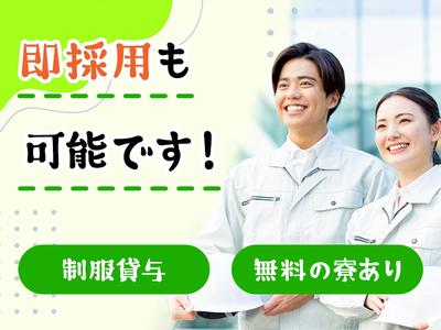 エムアンドエム株式会社のアルバイト写真