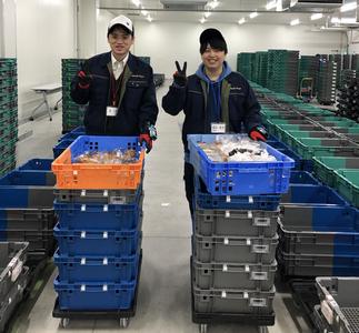 明雪ロジスティクス株式会社_三芳仕分け_001のアルバイト写真