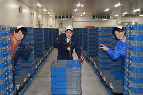 明雪ロジスティクス株式会社_三芳仕分け_002のアルバイト写真
