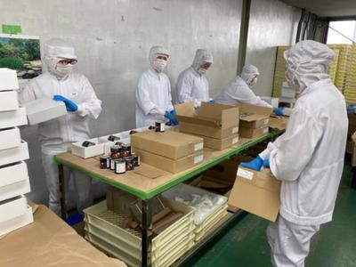 総和工場/【パート】軽作業スタッフ/中番のアルバイト