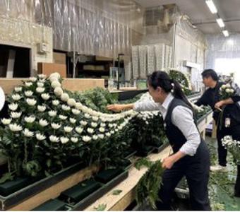 株式会社美咲(フラワーショップスタッフ)のアルバイト写真