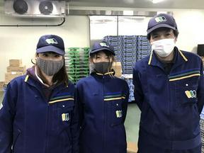 株式会社 三友ロジスティクス箱崎埠頭営業所/アルバイト・夜勤1のアルバイト写真