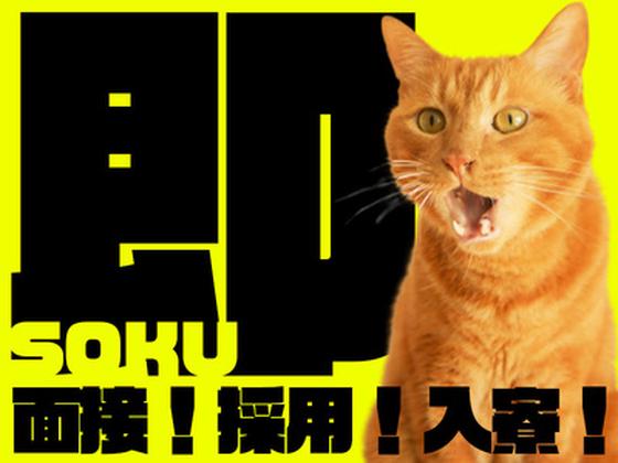 株式会社ＭＫＲ ※豊島区エリア(30)のアルバイト写真