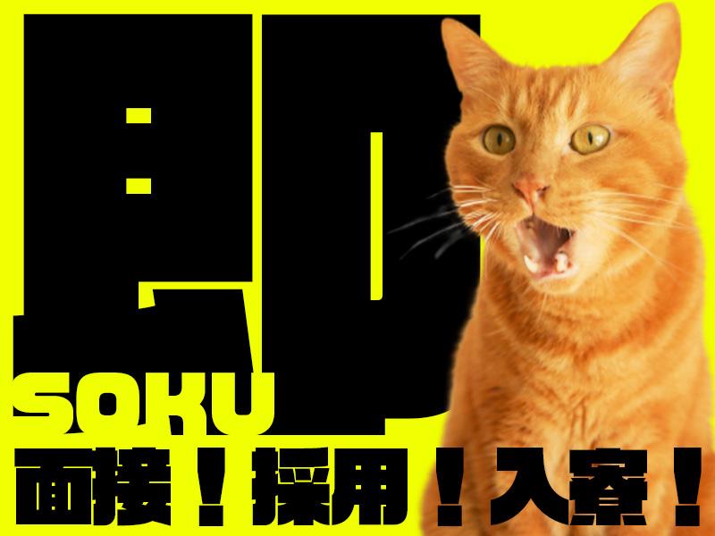 【日払い可】ε≡≡ヘ(≧▽≦)ノ『応募⇒稼働まで超★スピード！今...