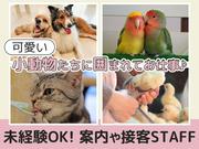 Moff animal world BIGHOPガーデンモール印西店のアルバイト写真(メイン)