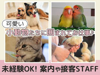 Moff animal world BIGHOPガーデンモール印西店2のアルバイト