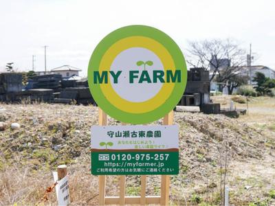 マイファーム 守山瀬古東農園のアルバイト写真