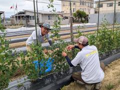 アグリイノベーション大学校 京都農場のアルバイト