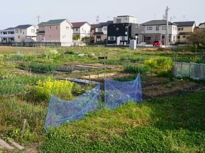 マイファーム知立農園のアルバイト写真