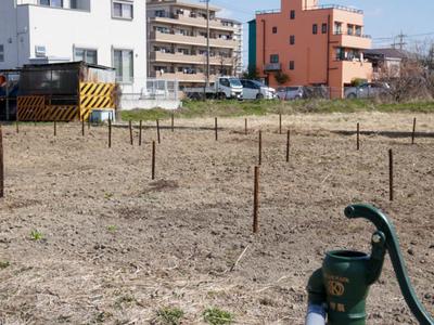 マイファーム 守山瀬古東農園のアルバイト写真