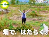 マイファーム知立農園のアルバイト写真