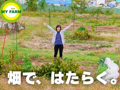 マイファーム知立農園のアルバイト
