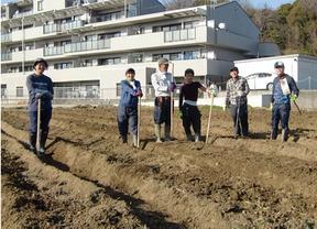 アグリイノベーション大学校 京都農場のアルバイト写真